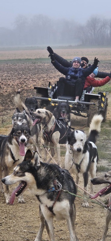 Baptême en traîneau à chiens